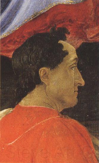 Sandro Botticelli Mago wearing a red mantle (mk36)